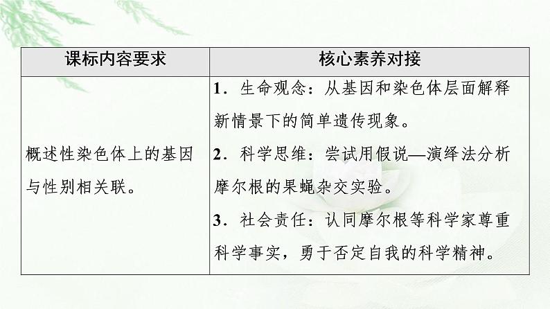 人教版高中生物必修2第2章第2节基因在染色体上课件02