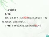 人教版高中生物必修2第2章第2节基因在染色体上课件