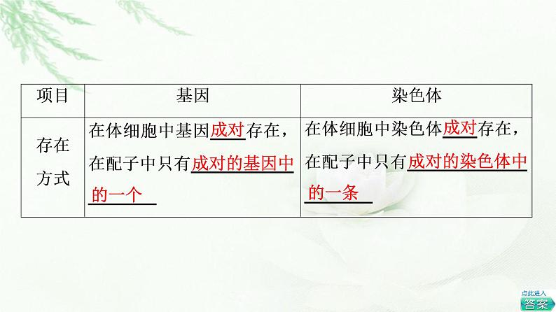 人教版高中生物必修2第2章第2节基因在染色体上课件06