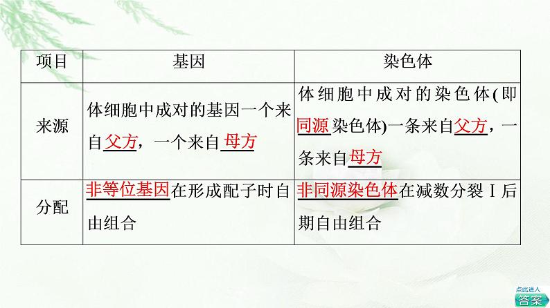 人教版高中生物必修2第2章第2节基因在染色体上课件07