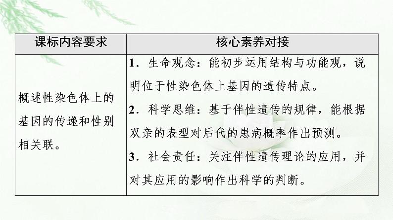 人教版高中生物必修2第2章第3节伴性遗传课件第2页