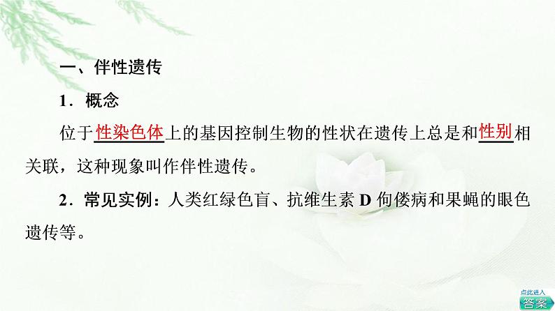 人教版高中生物必修2第2章第3节伴性遗传课件第4页