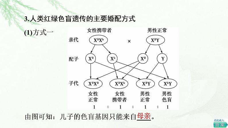 人教版高中生物必修2第2章第3节伴性遗传课件第7页