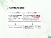 人教版高中生物必修2第3章第1节DNA是主要的遗传物质课件
