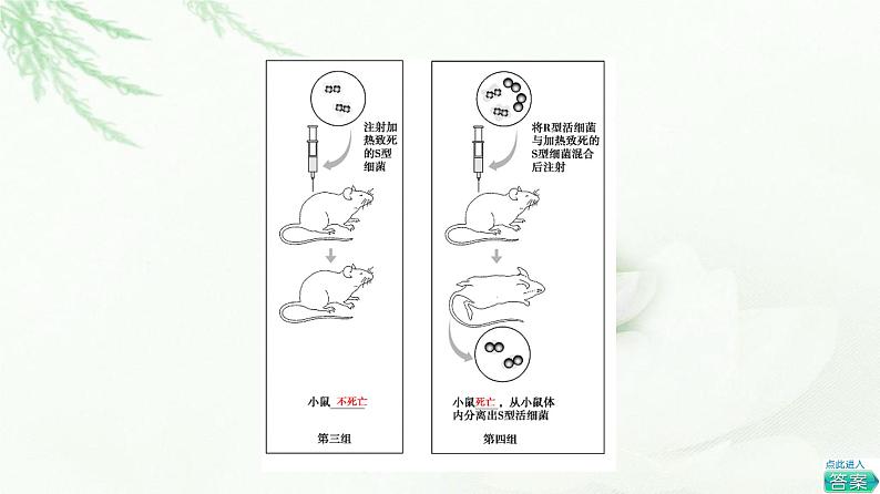 人教版高中生物必修2第3章第1节DNA是主要的遗传物质课件第7页