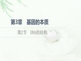 人教版高中生物必修2第3章第2节DNA的结构课件
