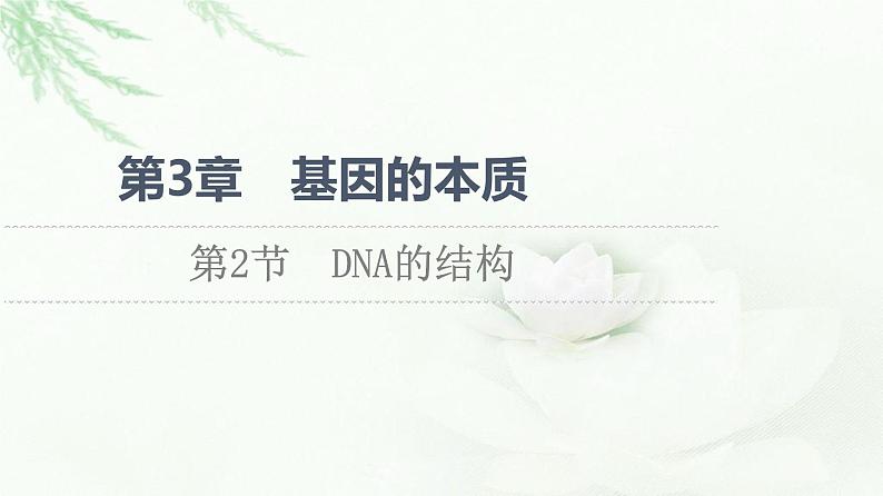 人教版高中生物必修2第3章第2节DNA的结构课件01