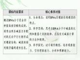 人教版高中生物必修2第3章第2节DNA的结构课件
