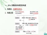 人教版高中生物必修2第3章第2节DNA的结构课件