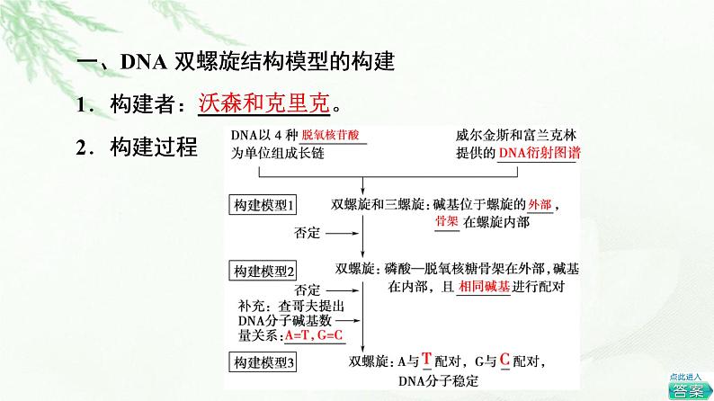 人教版高中生物必修2第3章第2节DNA的结构课件04