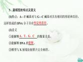 人教版高中生物必修2第3章第2节DNA的结构课件