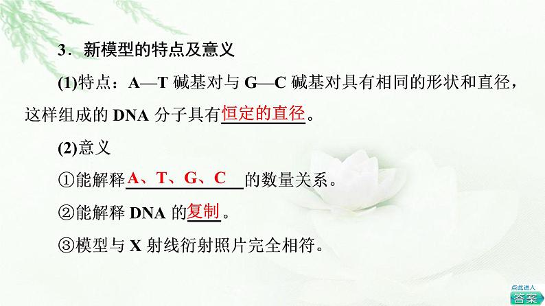 人教版高中生物必修2第3章第2节DNA的结构课件05