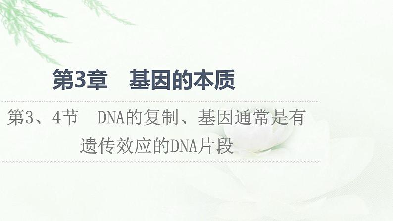 人教版高中生物必修2第3章第3、4节DNA的复制、基因通常是有遗传效应的DNA片段课件01