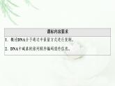 人教版高中生物必修2第3章第3、4节DNA的复制、基因通常是有遗传效应的DNA片段课件