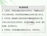 人教版高中生物必修2第3章第3、4节DNA的复制、基因通常是有遗传效应的DNA片段课件