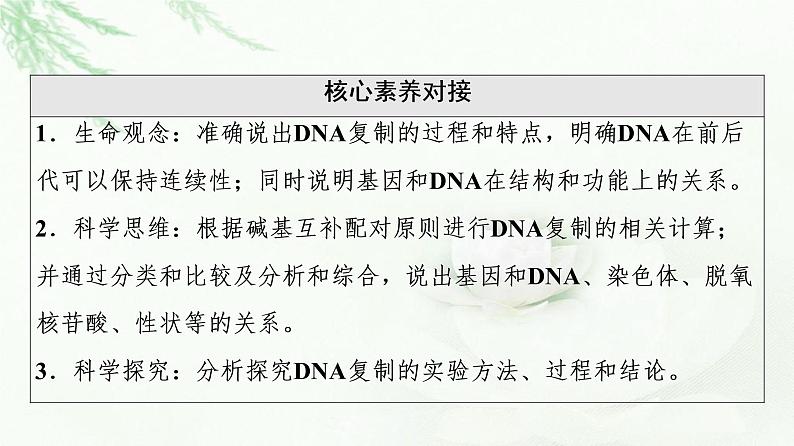 人教版高中生物必修2第3章第3、4节DNA的复制、基因通常是有遗传效应的DNA片段课件03