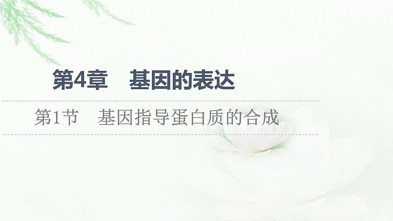 人教版高中生物必修2第4章第1节基因指导蛋白质的合成课件01