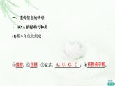 人教版高中生物必修2第4章第1节基因指导蛋白质的合成课件