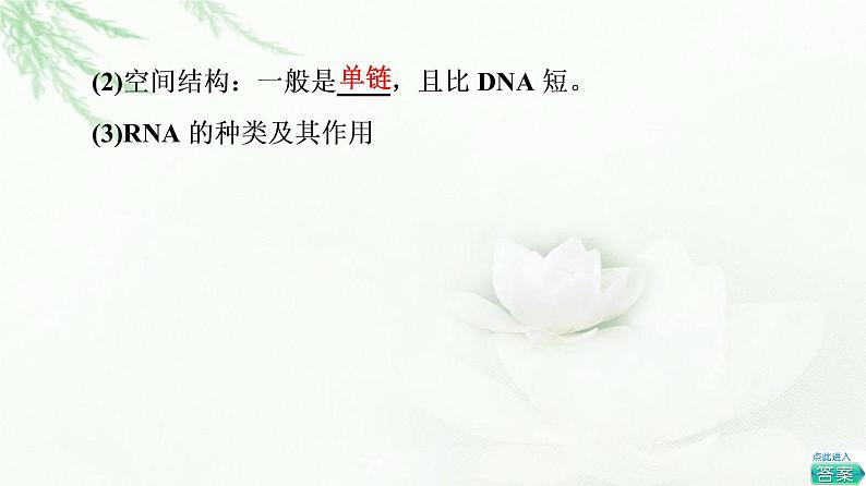 人教版高中生物必修2第4章第1节基因指导蛋白质的合成课件05