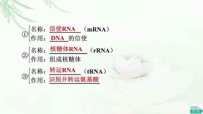 人教版高中生物必修2第4章第1节基因指导蛋白质的合成课件06