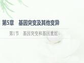 人教版高中生物必修2第5章第1节基因突变和基因重组课件