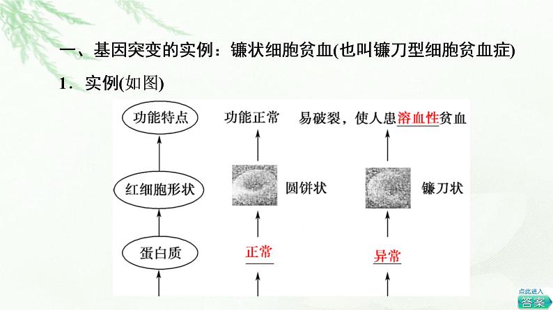 人教版高中生物必修2第5章第1节基因突变和基因重组课件第5页