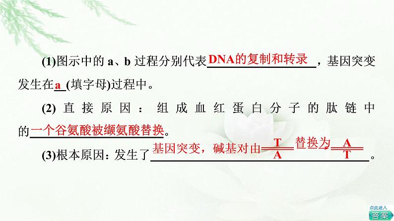 人教版高中生物必修2第5章第1节基因突变和基因重组课件第7页