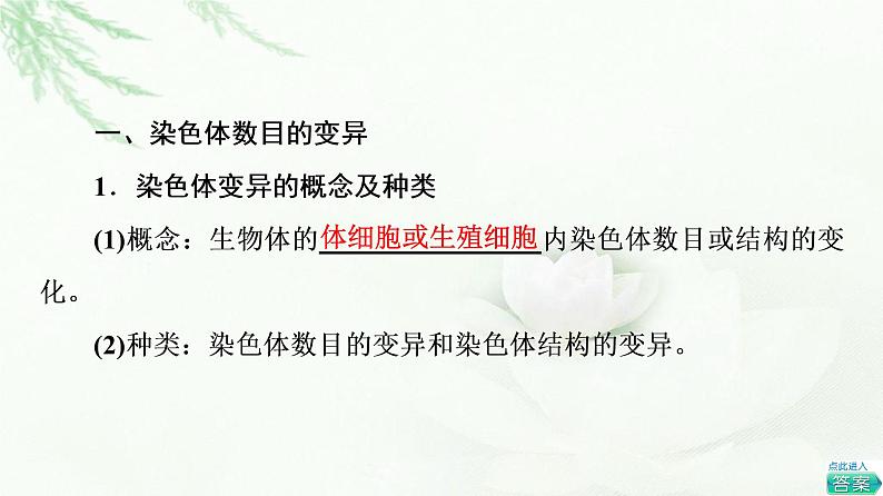 人教版高中生物必修2第5章第2节染色体变异课件04