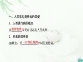 人教版高中生物必修2第5章第3节人类遗传病课件