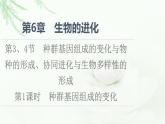 人教版高中生物必修2第6章第3、4节第1课时种群基因组成的变化课件