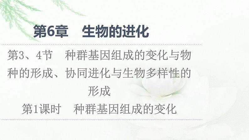 人教版高中生物必修2第6章第3、4节第1课时种群基因组成的变化课件第1页