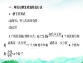 苏教版高中生物必修2第1章第1节第2课时哺乳动物生殖细胞的形成、受精作用孕育新的生命课件