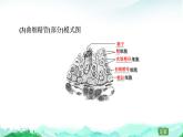 苏教版高中生物必修2第1章第1节第2课时哺乳动物生殖细胞的形成、受精作用孕育新的生命课件