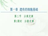 苏教版高中生物必修2第1章第2节第1课时分离定律课件