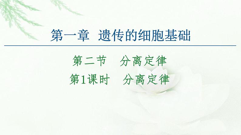 苏教版高中生物必修2第1章第2节第1课时分离定律课件01