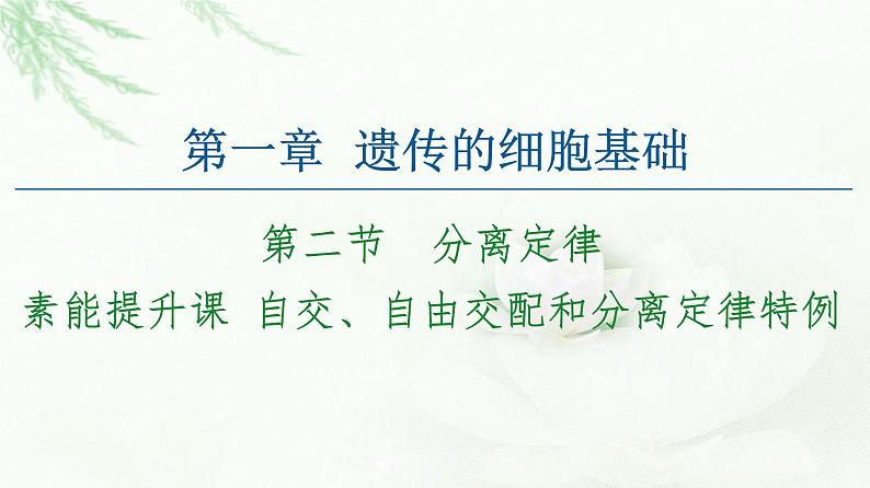 苏教版高中生物必修2第1章第2节素能提升课自交、自由交配和分离定律特例课件01