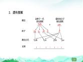 苏教版高中生物必修2第1章第3节第2课时自由组合定律课件