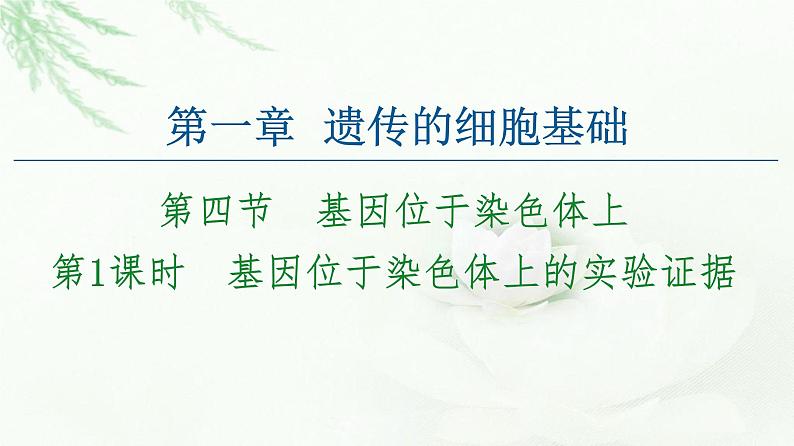 苏教版高中生物必修2第1章第4节第1课时基因位于染色体上的实验证据课件01