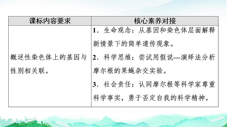 苏教版高中生物必修2第1章第4节第1课时基因位于染色体上的实验证据课件02