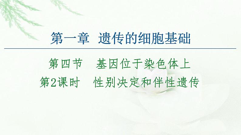 苏教版高中生物必修2第1章第4节第2课时性别决定和伴性遗传课件第1页