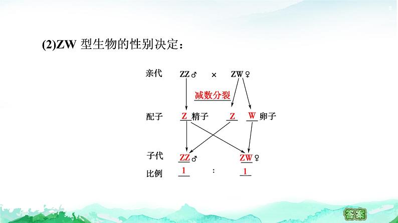 苏教版高中生物必修2第1章第4节第2课时性别决定和伴性遗传课件第8页