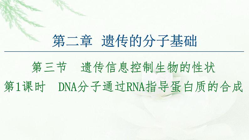 苏教版高中生物必修2第2章第3节第1课时DNA分子通过RNA指导蛋白质的合成课件第1页