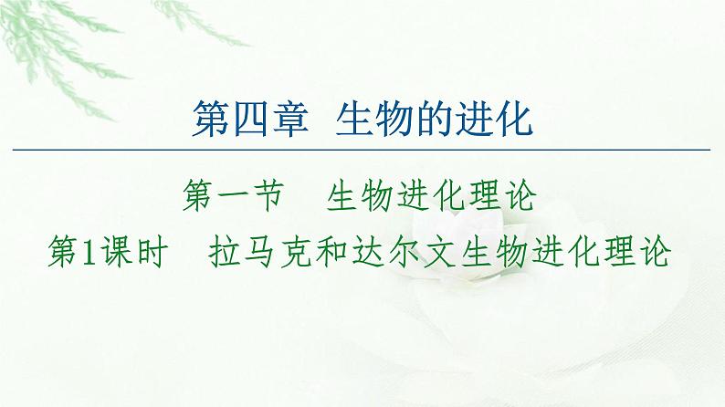 苏教版高中生物必修2第4章第1节第1课时拉马克和达尔文生物进化理论课件第1页