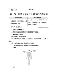 高中生物浙科版 (2019)选择性必修1 稳态与调节第一节  神经系统是神经调节的结构基础学案