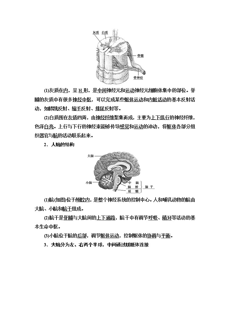 浙科版高中生物选择性必修1第2章第3节人体通过神经调节对刺激做出反应学案02