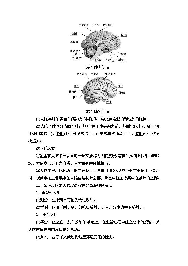 浙科版高中生物选择性必修1第2章第3节人体通过神经调节对刺激做出反应学案03