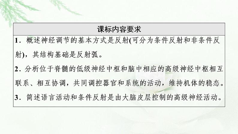 浙科版高中生物选择性必修1第2章第3节人体通过神经调节对刺激做出反应课件第2页