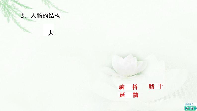 浙科版高中生物选择性必修1第2章第3节人体通过神经调节对刺激做出反应课件第8页