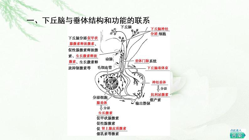 浙科版高中生物选择性必修1第3章第2节神经系统通过下丘脑控制内分泌系统课件04