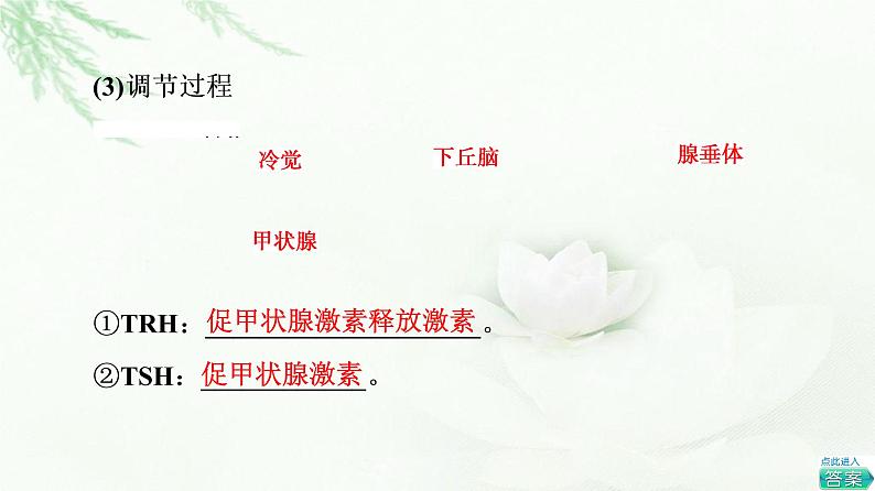 浙科版高中生物选择性必修1第3章第2节神经系统通过下丘脑控制内分泌系统课件06